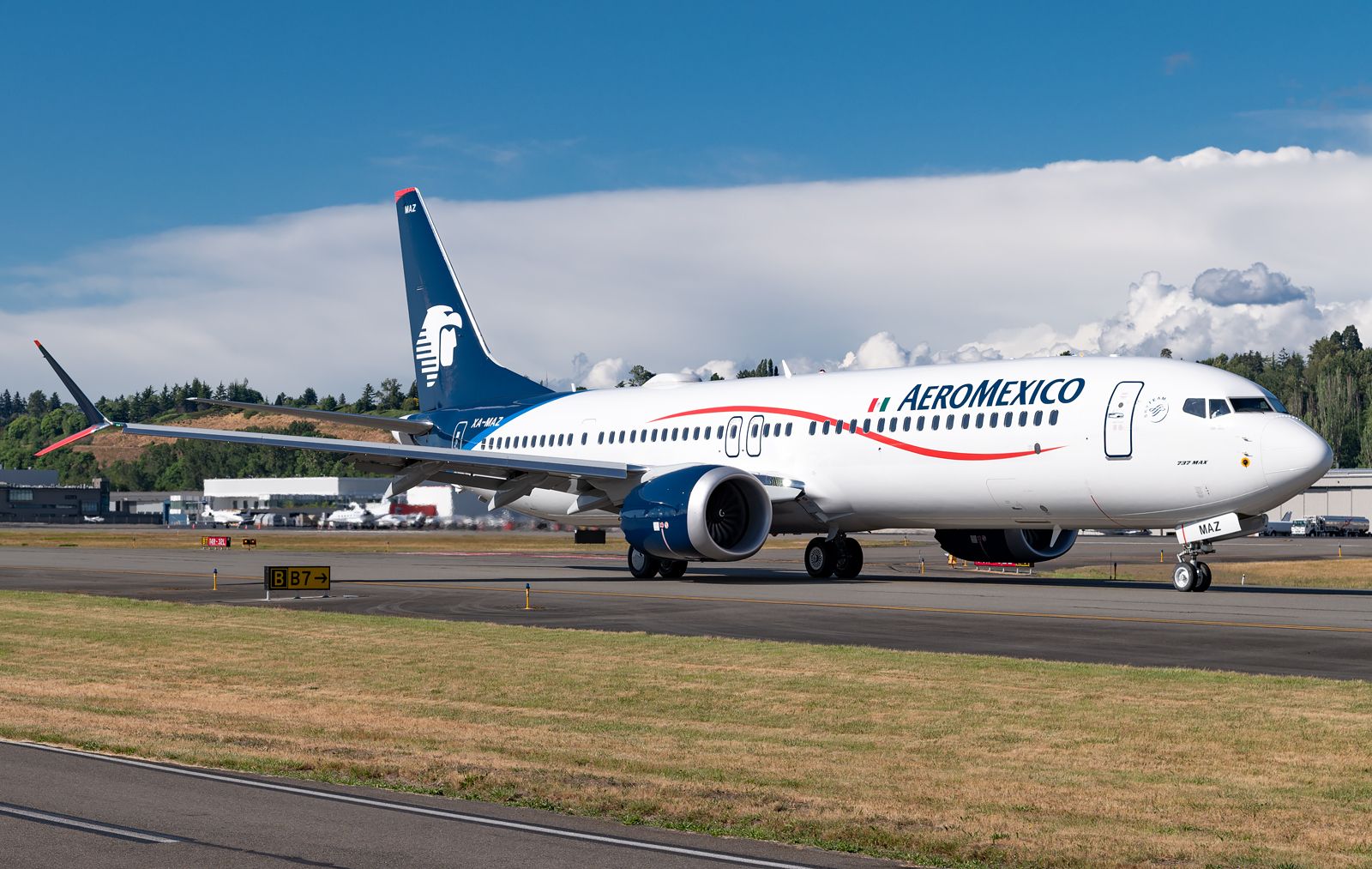Aeromxico Boeing 737 MAX 9 - SkyTeam Virtual