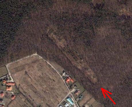Ilyushin Il-62M | LOT | SP-LBG | picture of crashsite in forest near Warsaw-Okecie airport