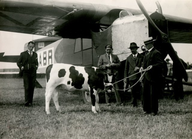 2161_026468, Stier Nico vloog 9 juli 1924 met KLM van Rotterdam naar  Parijs. -