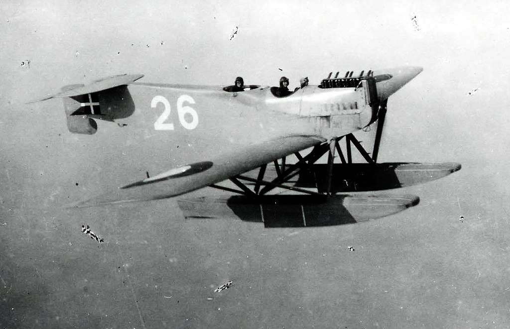 Image result for hansa-brandenburg w.29