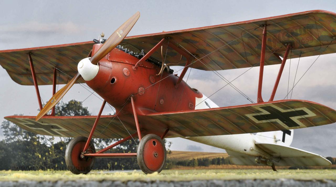 Afbeeldingsresultaat voor Pfalz D.IIIa